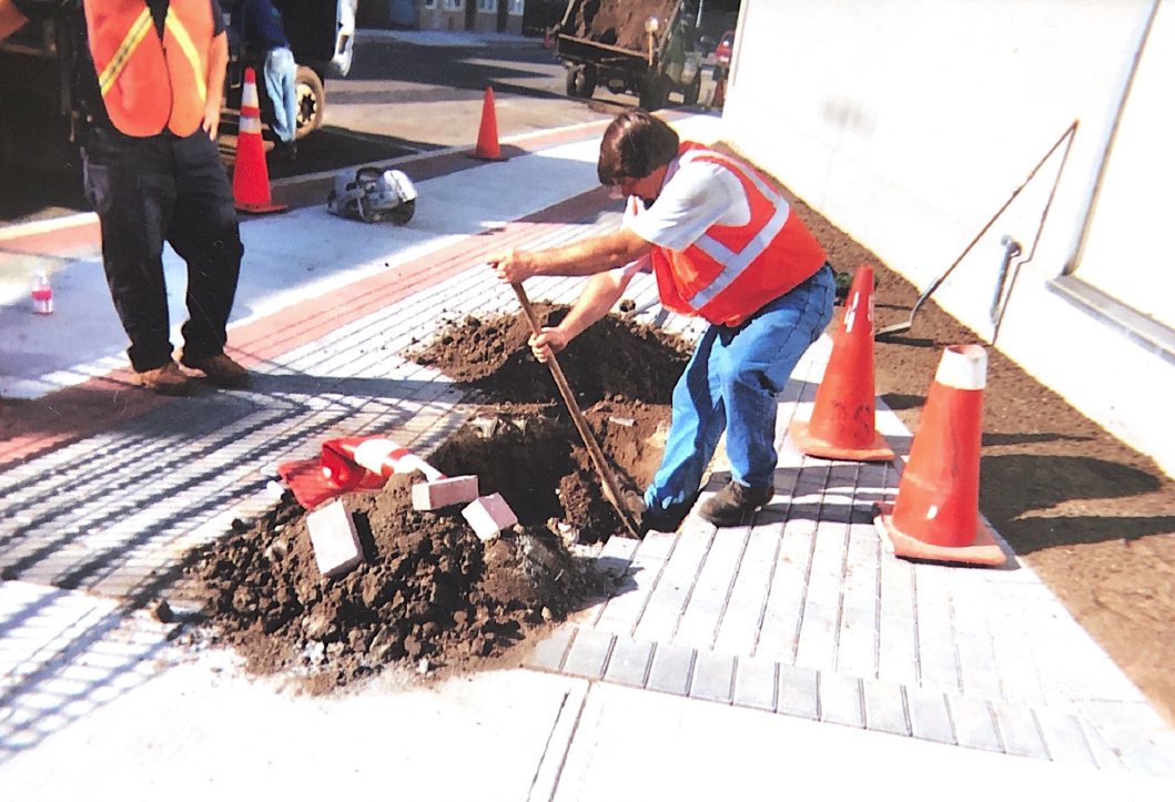 Planting Another Tree